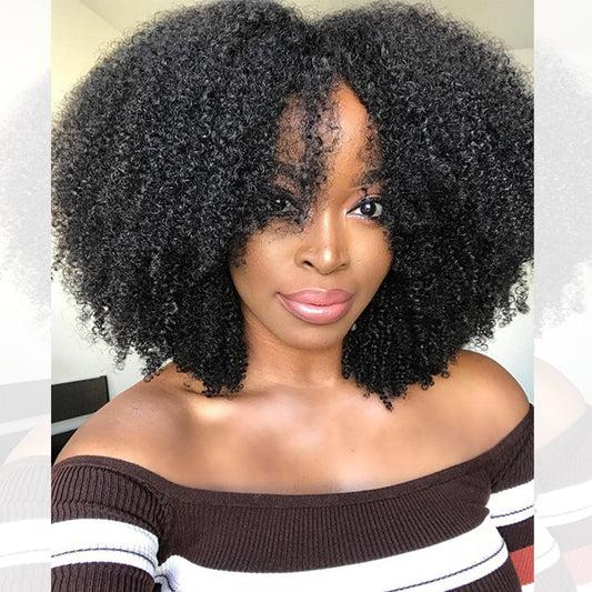 Afro Kinky Curly Seamless V-Part Wig-066