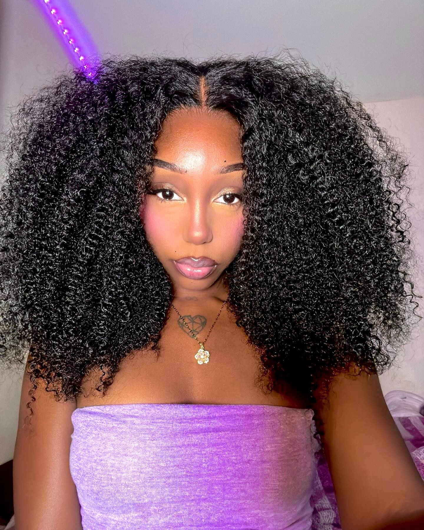 Big Curly Wigs Double Drawn Weft Made 250% Density Afro Kinky Curly Human Hair Wigs