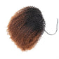 Coily Curly Ombre Brown Colored 3 In 1 Half Wig ( Can be weared in half wig / headband wig / ponytail )
