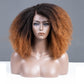 Coily Kinky Curly Ombre Ginger Brown Colored Glueless Lace Wig Full And Bouncy