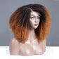 Coily Kinky Curly Ombre Ginger Brown Colored Glueless Lace Wig Full And Bouncy