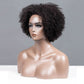 Afro Coily Glueless Lace Human Hair Wigs Ready To Wear